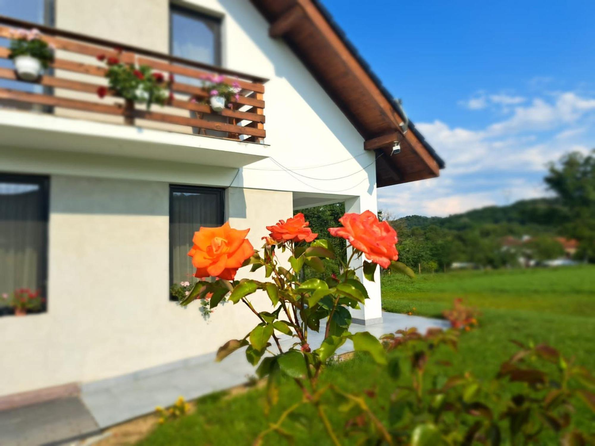 Eco Familia 호텔 Pojoga 외부 사진